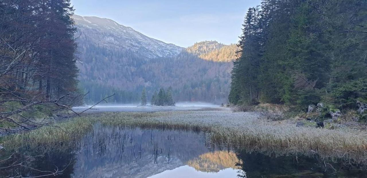 Ledererhof Lunz Am See Extérieur photo